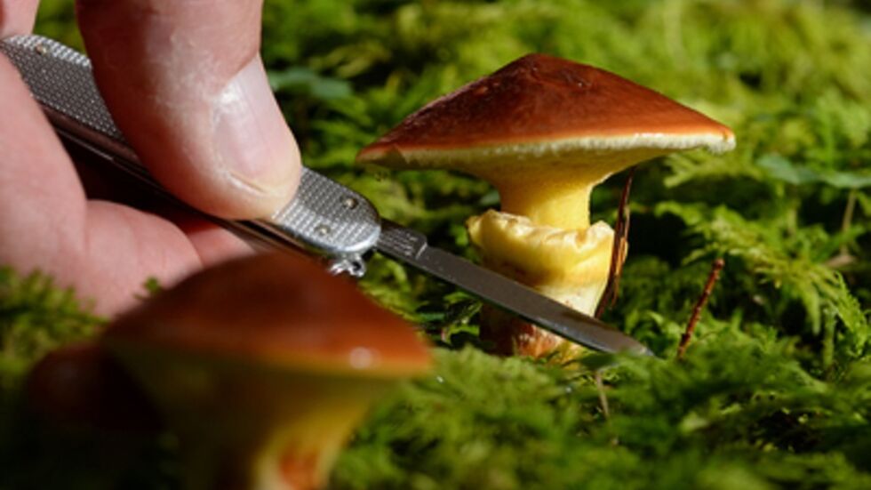 Symbol­bild (c) dpa Symbolbild (c) dpa