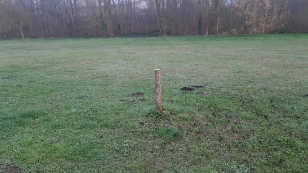 Die Stadt sucht Zeugen.