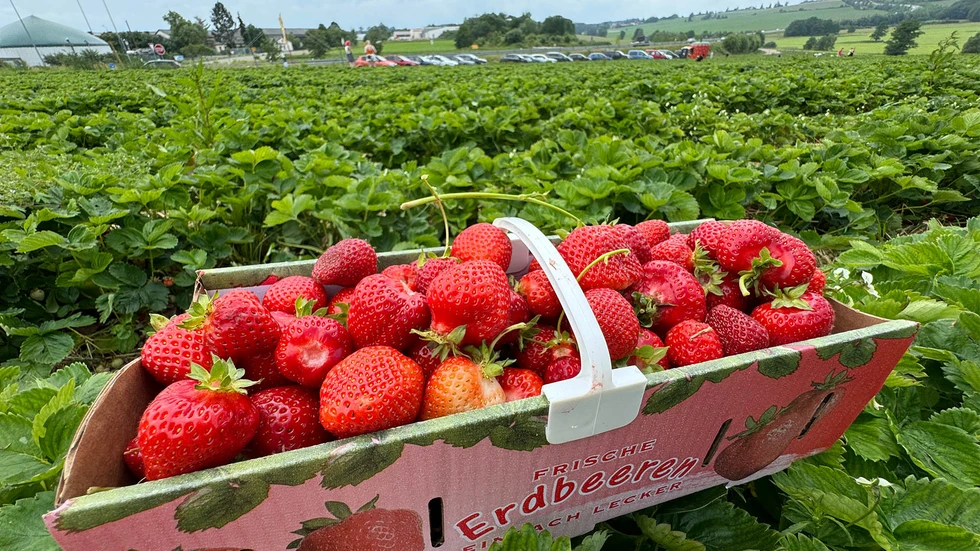 Symbolbild Symbolbild