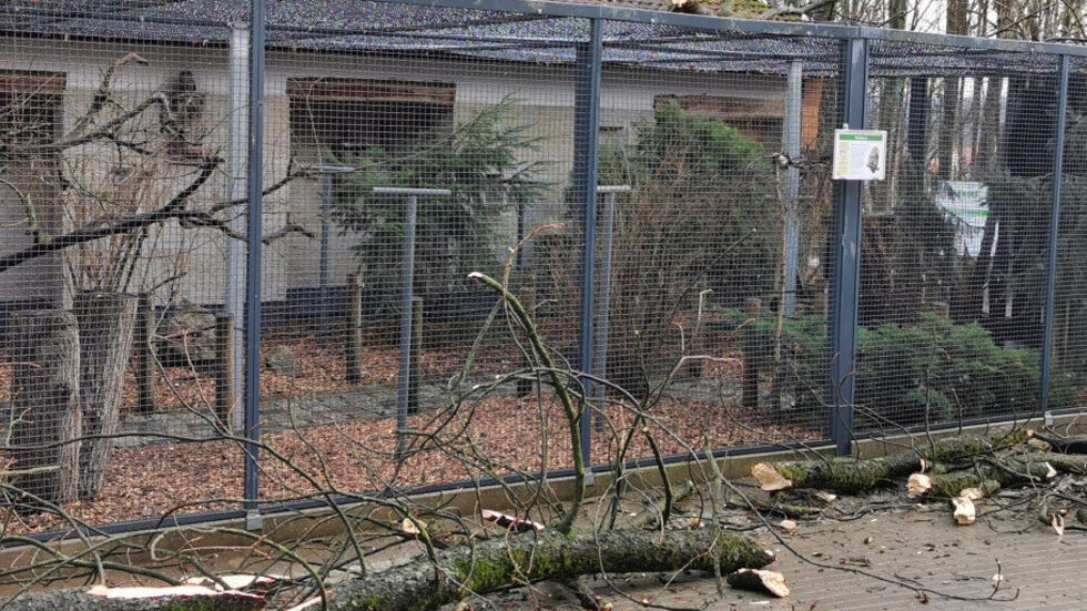 Der Park bliebt auch am Dienstag geschlossen. © Ramona Demmler Der Park bliebt auch am Dienstag geschlossen. © Ramona Demmler