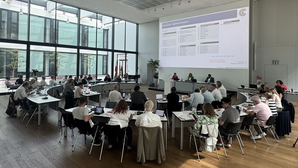 Auch ein Baum war im Stadtrat anwesend - links neben der Bürgermeisterriege.