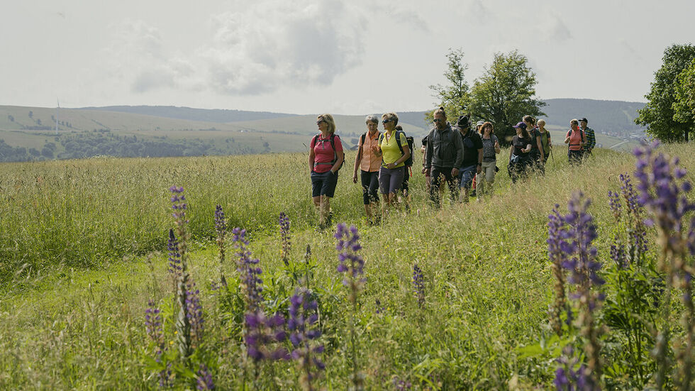 Ab 23. September werden um die 30 geführte und individuelle Wanderungen rund um den Kurort Oberwiesenthal angeboten. 