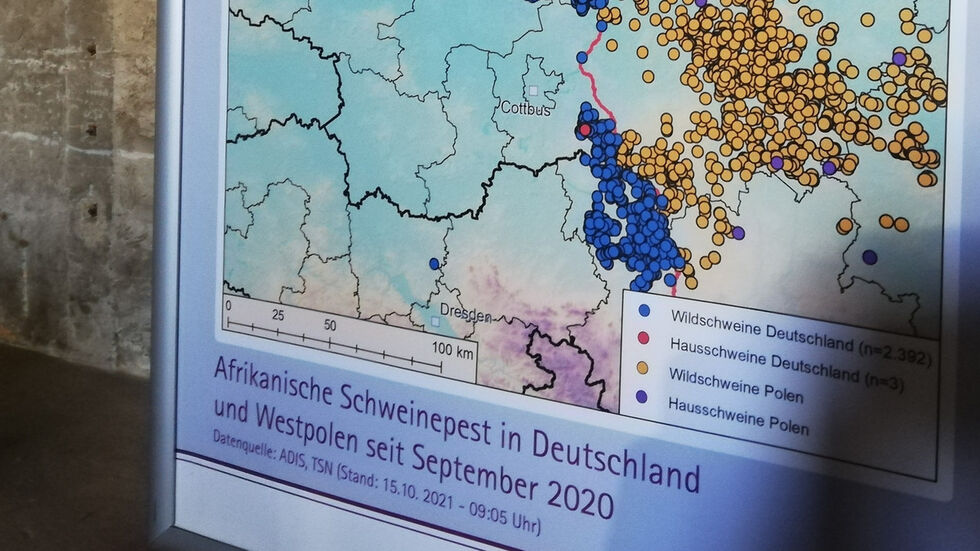 Jeder blaue Punkt steht für ein in im Kreis Görlitz infiziertes Wildschwein. Vor wenigen Tagen wurde ein weiterer Punkt bei Radeburg (Kreis Meißen) eingezeichnet. Jeder blaue Punkt steht für ein in im Kreis Görlitz infiziertes Wildschwein. Vor wenigen Tagen wurde ein weiterer Punkt bei Radeburg (Kreis Meißen) eingezeichnet.