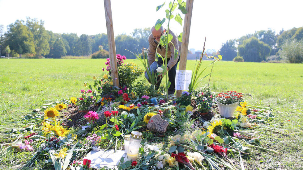 Ein Mann gießt die an der Stelle des abgesägten Baumes gepflanzten Blumen. © dpa Ein Mann gießt die an der Stelle des abgesägten Baumes gepflanzten Blumen. © dpa