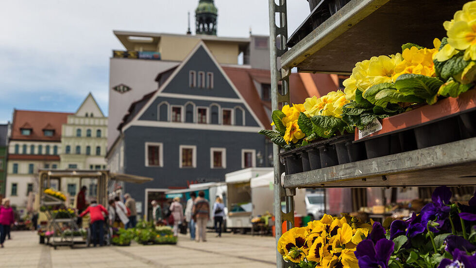 Archivbild eines früheren Frischemarkts auf dem Hauptmarkt Archivbild eines früheren Frischemarkts auf dem Hauptmarkt