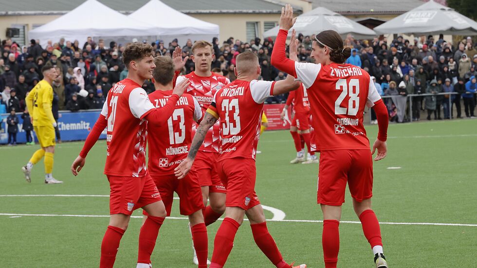 Die Zwickauer hatten die Partie im Griff.