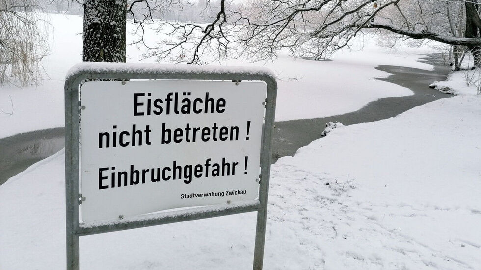 Der Schwanenteich ist derzeit von einer Eisschicht bedeckt
