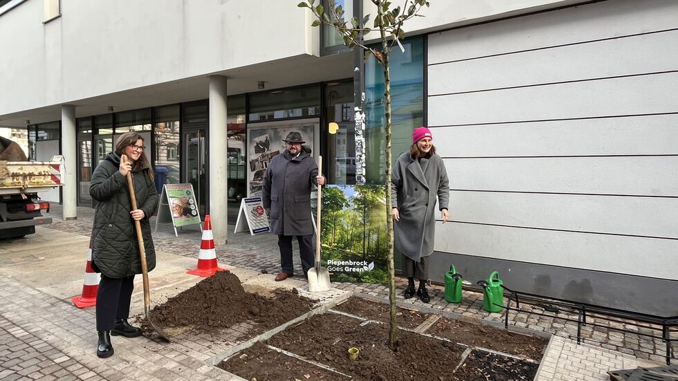 Bürgermeistertrio beim Bäume pflanzen  