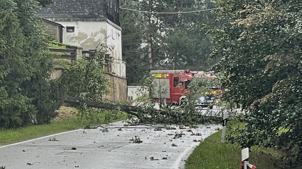 In Bernsdorf fiel dieser Baum auf die Untere Hauptstraße. 