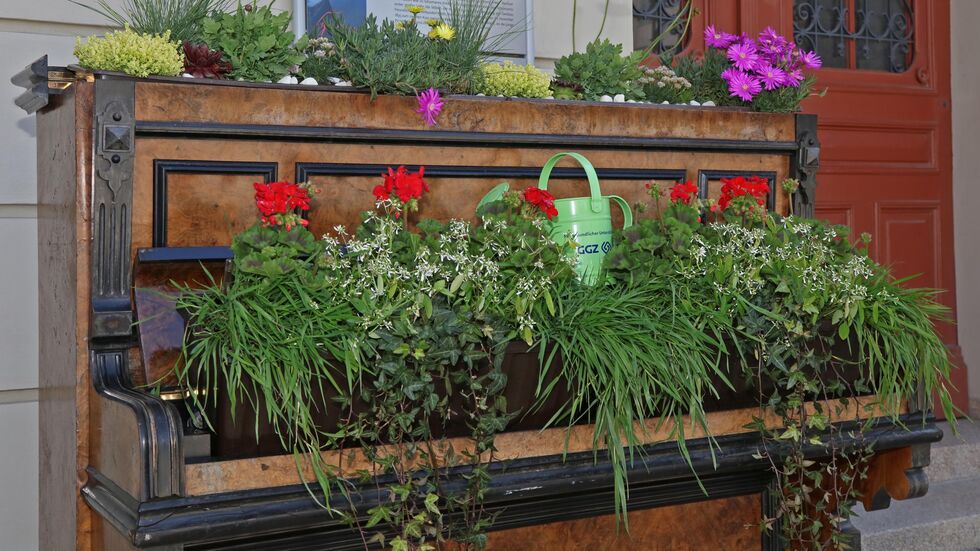 Blumenklavier an Goldnen Anker Blumenklavier an Goldnen Anker