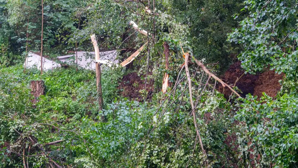 Die schweren Unwetter hinterließen eine Spur der Verwüstung im Nationalpark Sächsische Schweiz