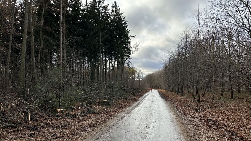 Blick Richtung Schneppendorf