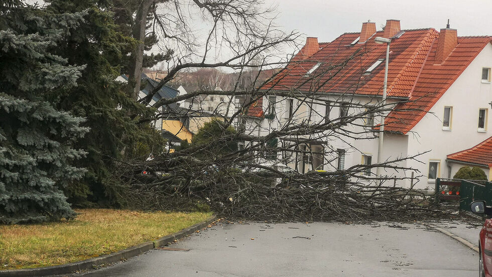 Entwurzelter Baum auf der Karl-Marx-Straße in Auerbach © Steffen Baumgärtel Entwurzelter Baum auf der Karl-Marx-Straße in Auerbach © Steffen Baumgärtel
