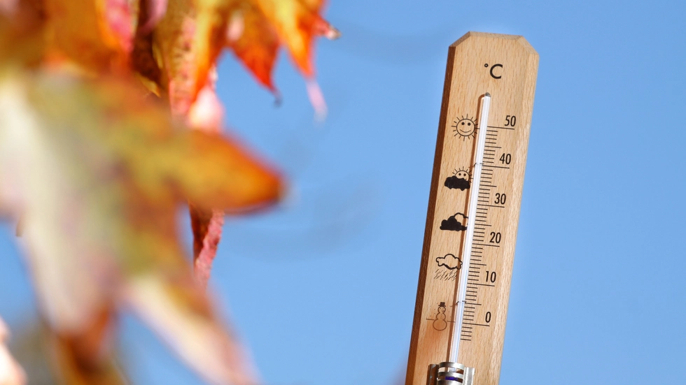 Symbolbild Symbolbild