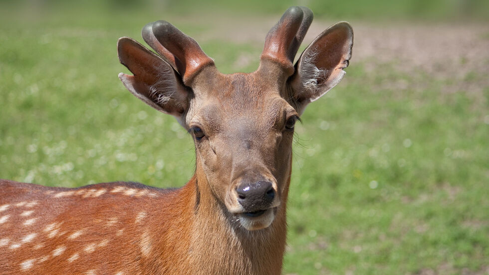 Symbolbild Symbolbild