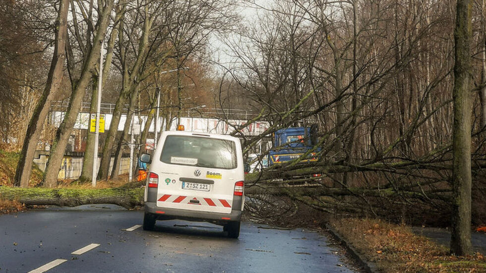 Die Planitzer Straße war zeitweise gesperrt, nachdem ein Baum umgefallen war. © Steffen Baumgärtel Die Planitzer Straße war zeitweise gesperrt, nachdem ein Baum umgefallen war. © Steffen Baumgärtel