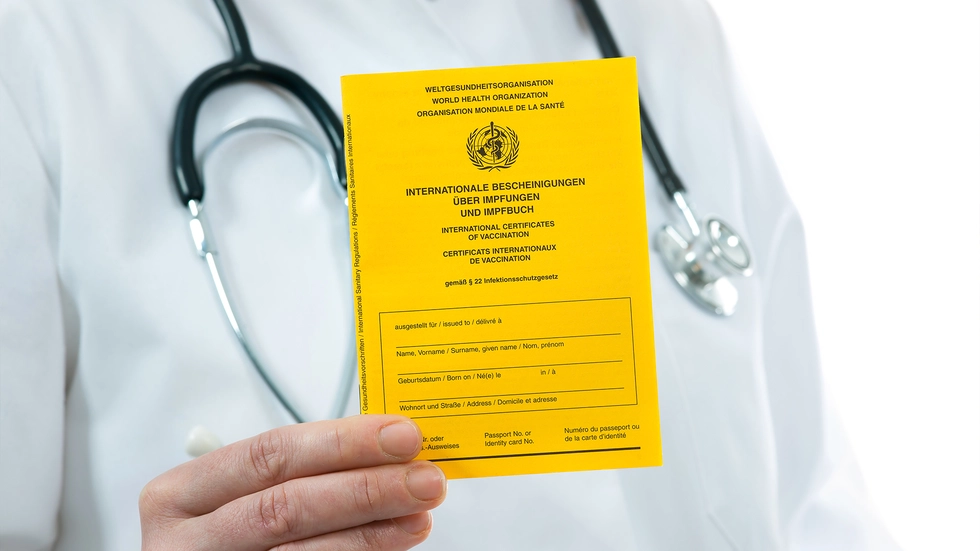 Impfausweis Impfausweis
