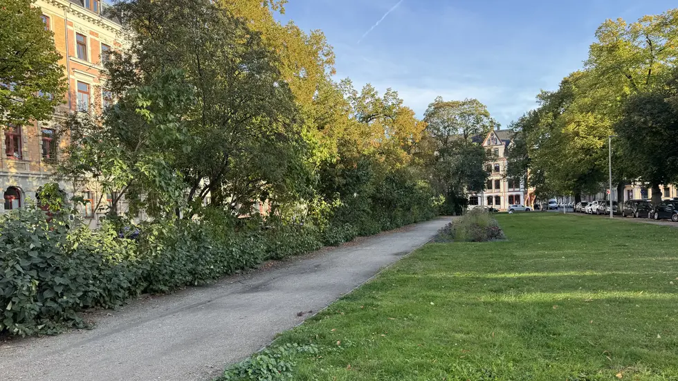 Auf dieser Seite des Parks steht keine Bank mehr Auf dieser Seite des Parks steht keine Bank mehr