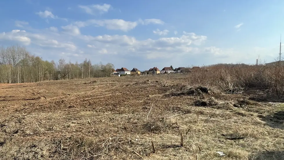 Blick von der Straße zum Busdepot in Richtung Reuterweg - es wurde bereits abgeholzt