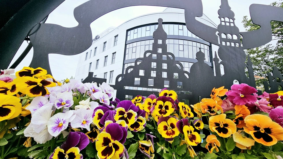 Eines der Gewinnerfotos vom Wettbewerb 2025