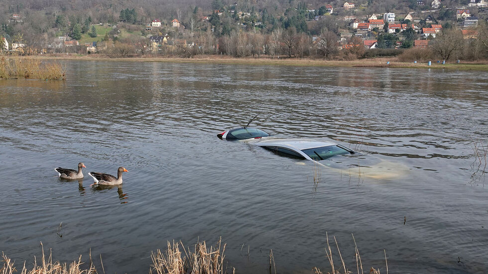 Neugierige Enten schwimmen vorbei  Neugierige Enten schwimmen vorbei