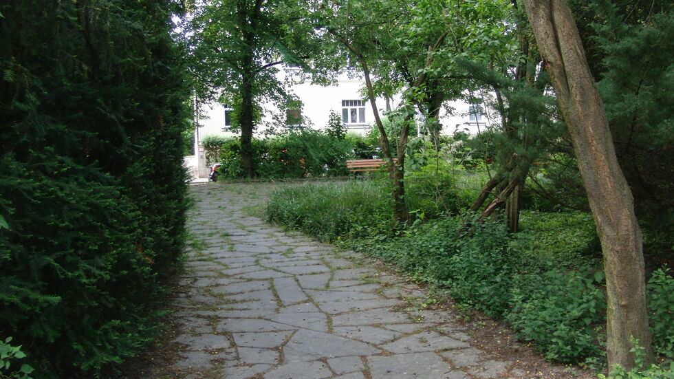 Blick in den Pauluspark