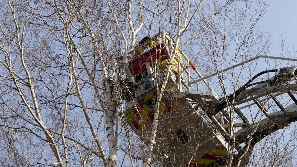 Mit der Drehleiter fuhren die Feuerwehrleute zu dem Kater hinauf.