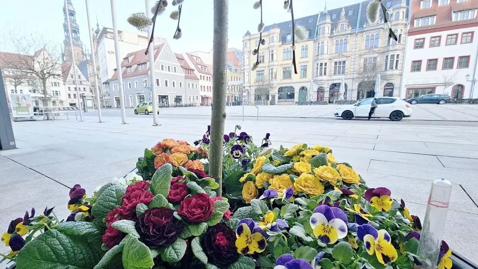 Am Rathaus hat der Frühling schon Einzug gehalten. 
