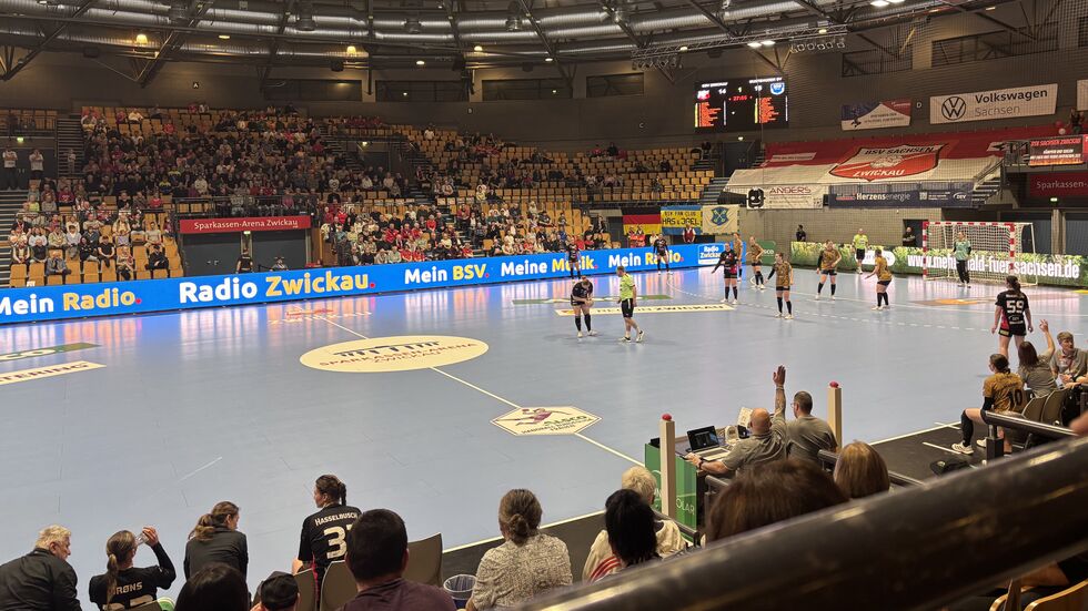 Der BSV Sachsen Zwickau konnte das Heimspiel gegen Buxtehude nicht gewinnen.