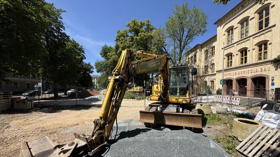 Diese Woche ging´s weiter mit dem Wegebau parallel zur Ringpromenade.
