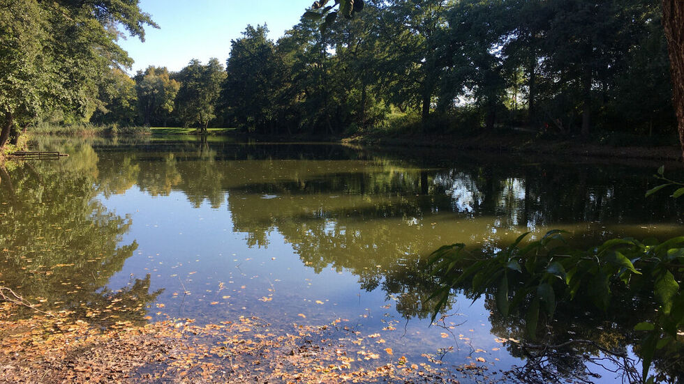 © Gert Friedrich © Gert Friedrich