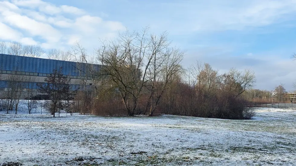 Umfeld der alten Sporthalle im Februar. Inzwischen wurden Bäume und Sträucher, die dem Bau im Weg stehen, entfernt. 