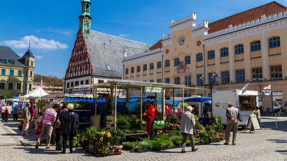 Mittwochsmarkt in Zwickau